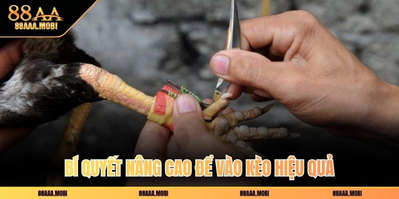 Bí quyết nâng cao để vào kèo hiệu quả