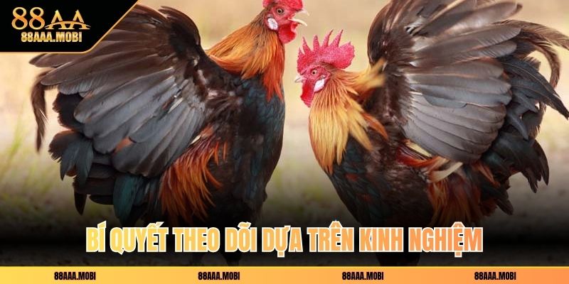 Bí quyết theo dõi dựa trên kinh nghiệm