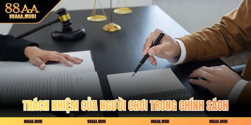 Trách nhiệm của người chơi trong chính sách
