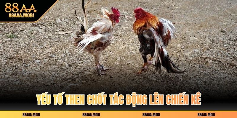 Yếu tố then chốt tác động lên chiến kê