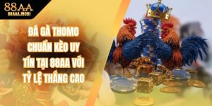 Đá Gà Thomo Chuẩn Kèo Uy Tín Tại 88aa Với Tỷ Lệ Thắng Cao
